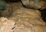 IMGP1943.jpg